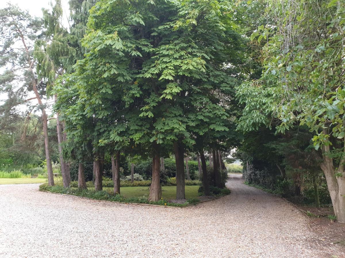 The Reading Whole Chalet With Lake And Two Acre Gardens Kültér fotó