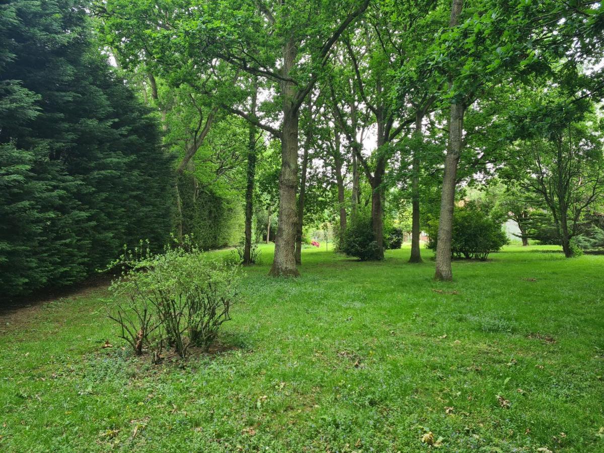 The Reading Whole Chalet With Lake And Two Acre Gardens Kültér fotó