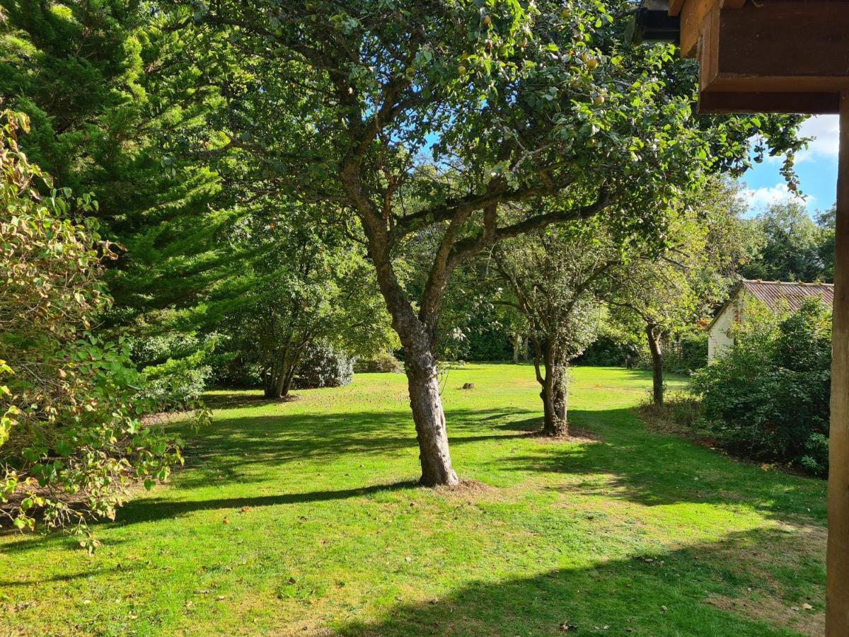 The Reading Whole Chalet With Lake And Two Acre Gardens Kültér fotó